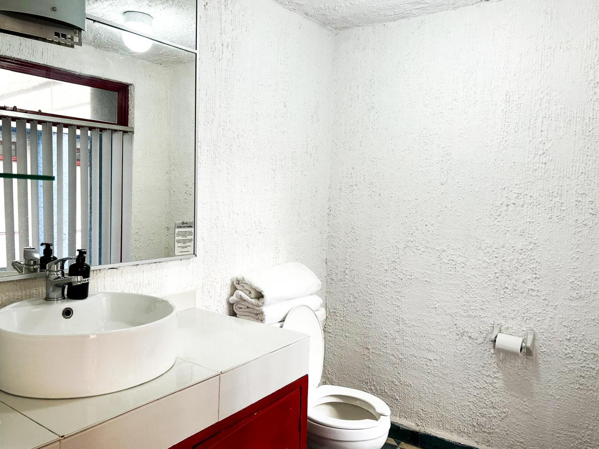 Apartmán Lofts En Casa Azul Centro De Slp - Inmotega San Luis Potosí Pokoj fotografie